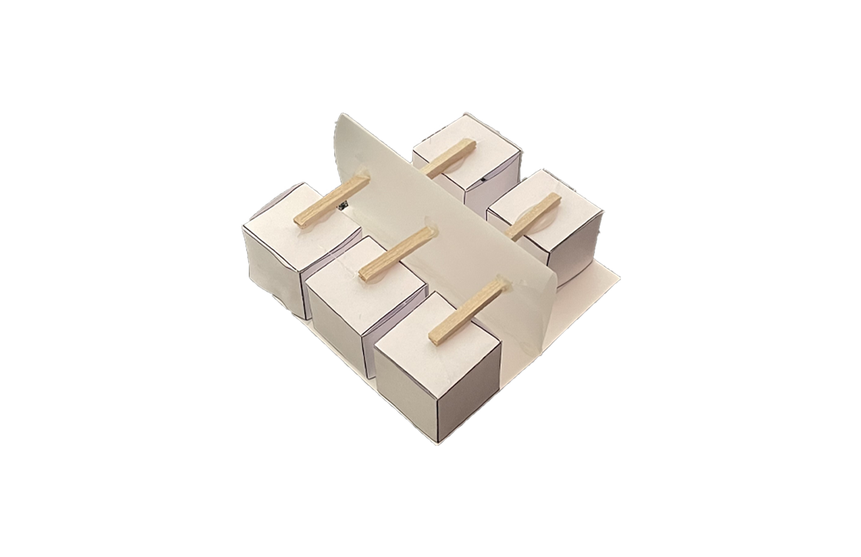 Study model